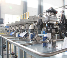 自動化高壓反應釜